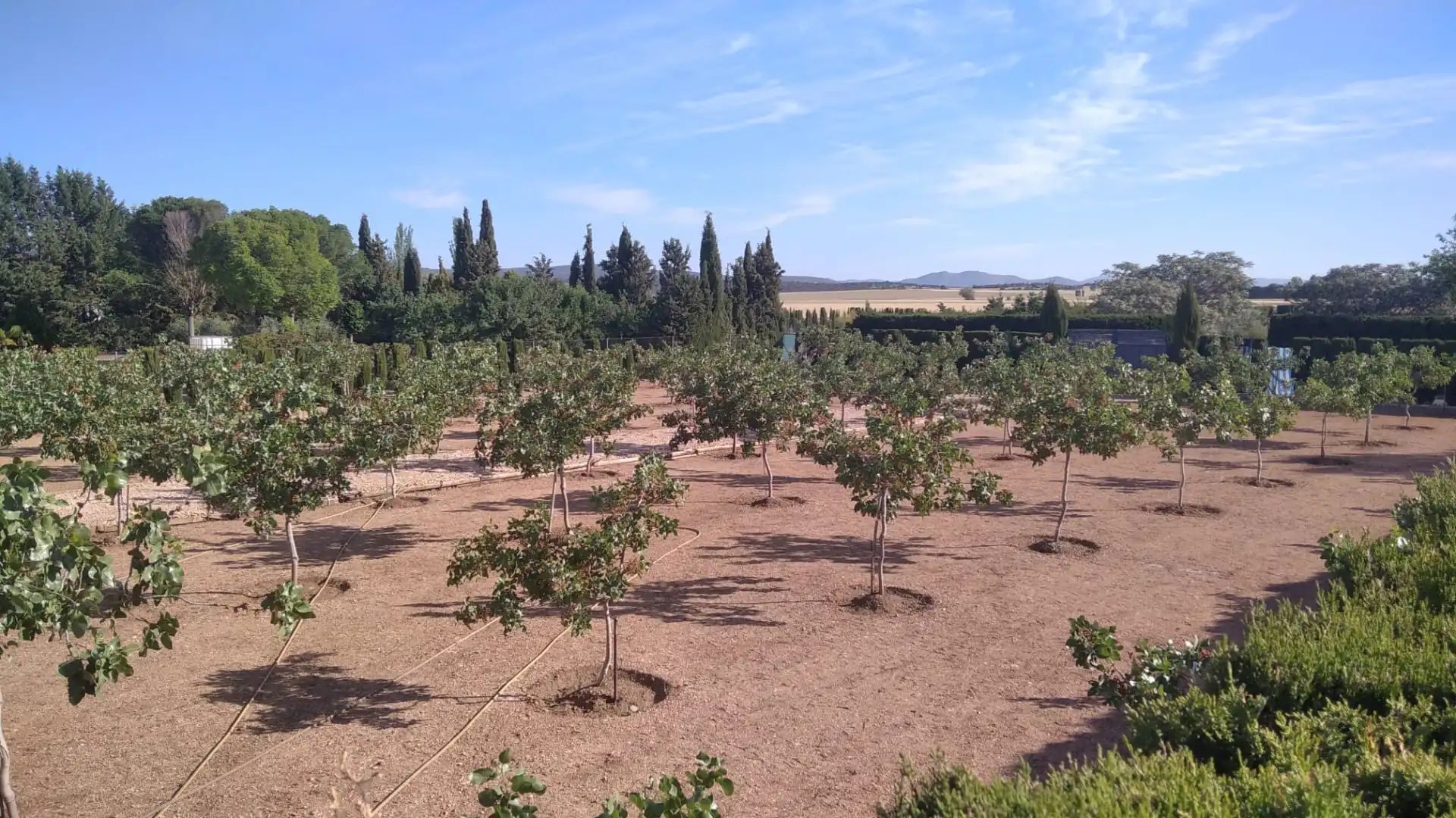 Jardí de Casa o xalet en venda en Ciudad Real amb Calefacció, Jardí privat i Traster
