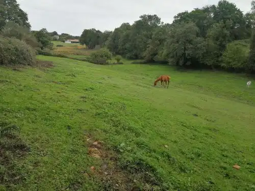 Terrenys i solars en venda a Corvera de Asturias, imagen 4