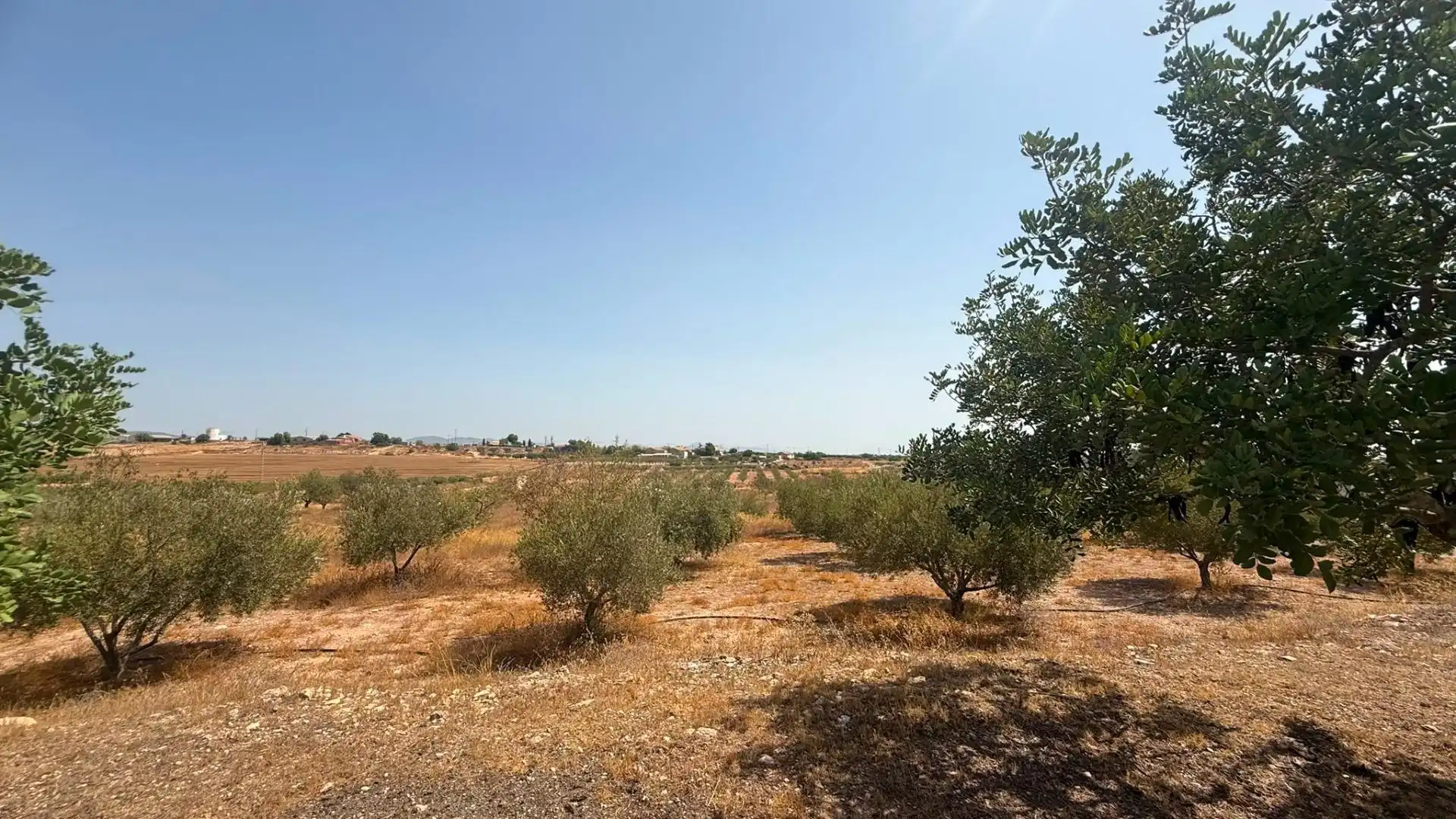 Country homes for sale in Murcia