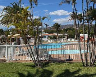 Swimming pool of House or chalet to rent in San Bartolomé de Tirajana  with Air Conditioner, Private garden and Terrace