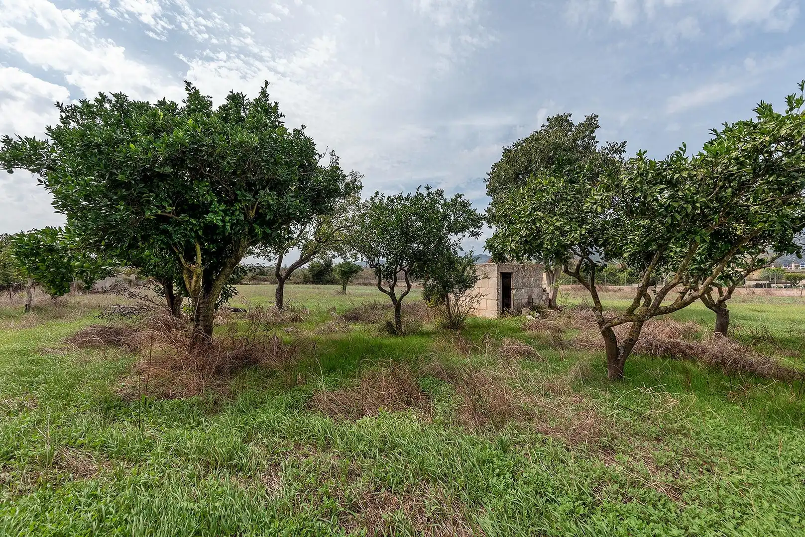 Country homes for sale in Campanet  with Private garden