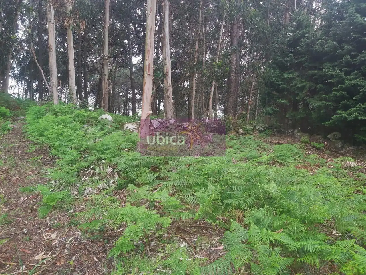 Terreno rustico in vendita a Oia, imagen 16