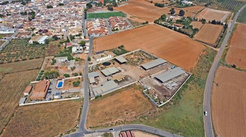 Foto 5 de Finca rústica en venta en Calle Casicas, Las-ds el Plan, Polígono Santa Ana, Cartagena