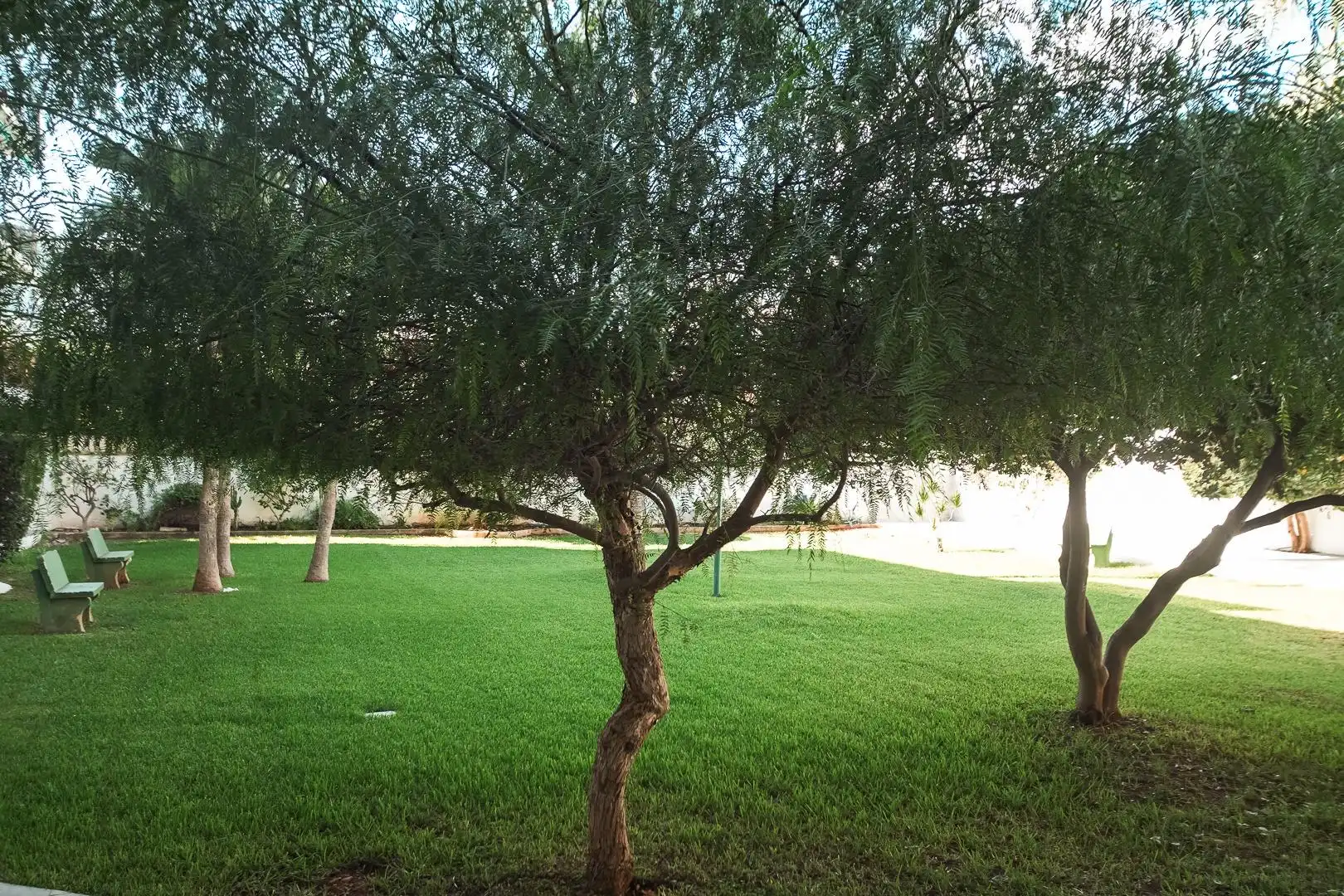 Jardín de Local en traspaso en Dénia con Aire acondicionado y Amueblado