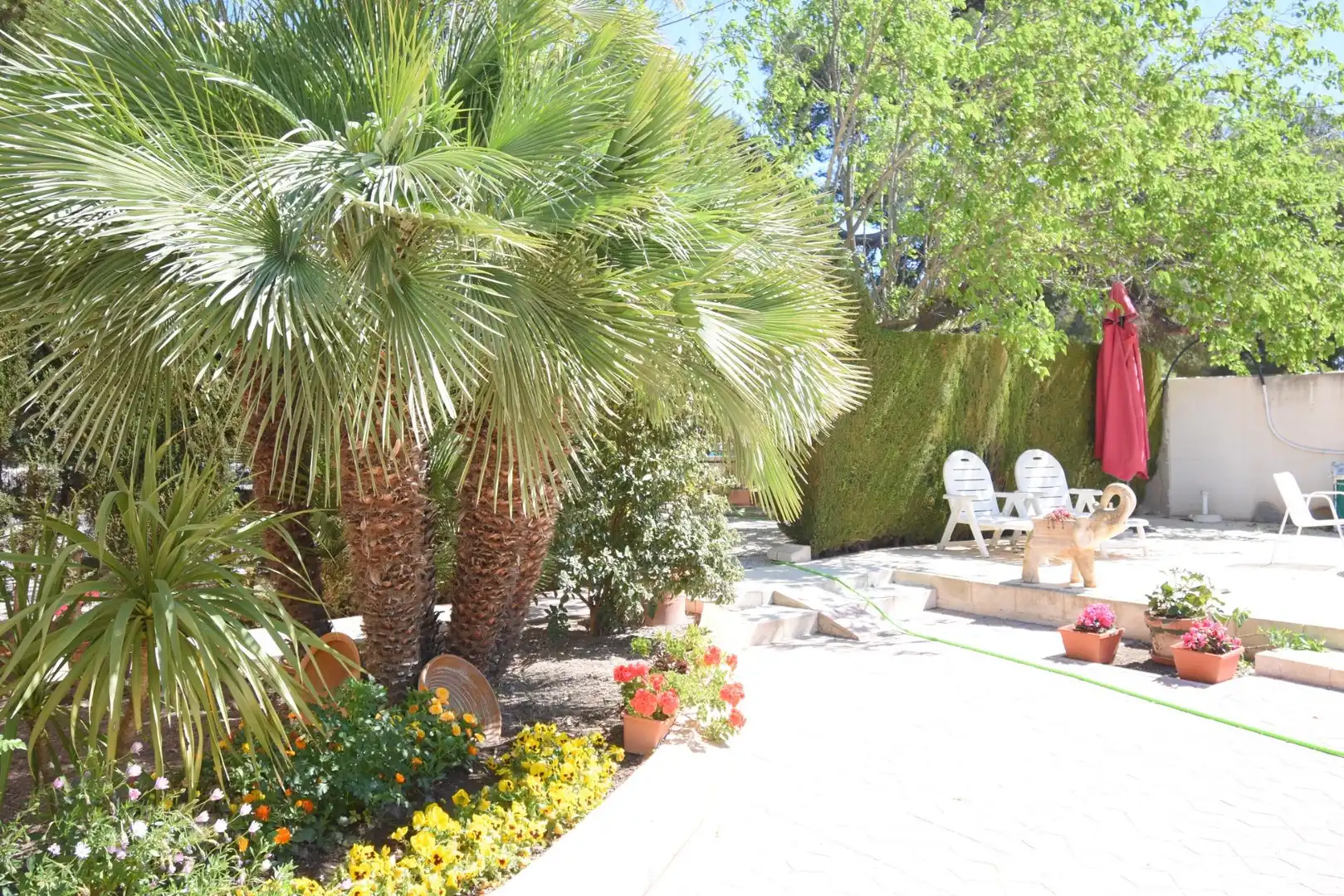Casa con terrazza in vendita a Monóvar  / Monòver, imagen 3