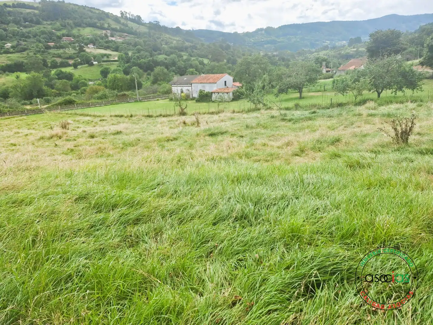 Terreno rustico in vendita a Gijón - CM DE LINARES 10, imagen 13