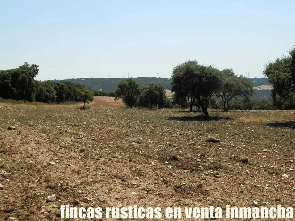 Rustikales Grundstück zum Verkauf in Alcocer, imagen 9