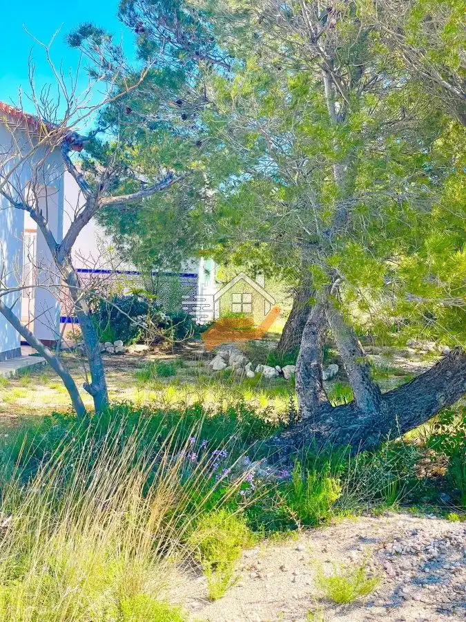 Villa in vendita a Vélez-Rubio, imagen 10