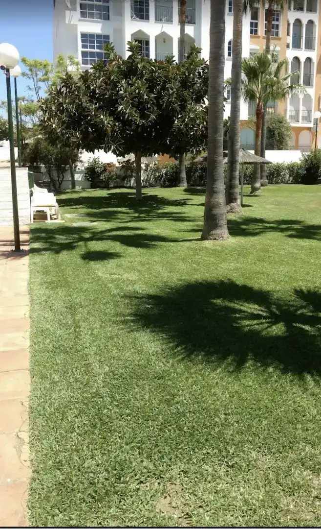 Garten von Wohnung zur Miete in Estepona mit Klimaanlage und Schwimmbad