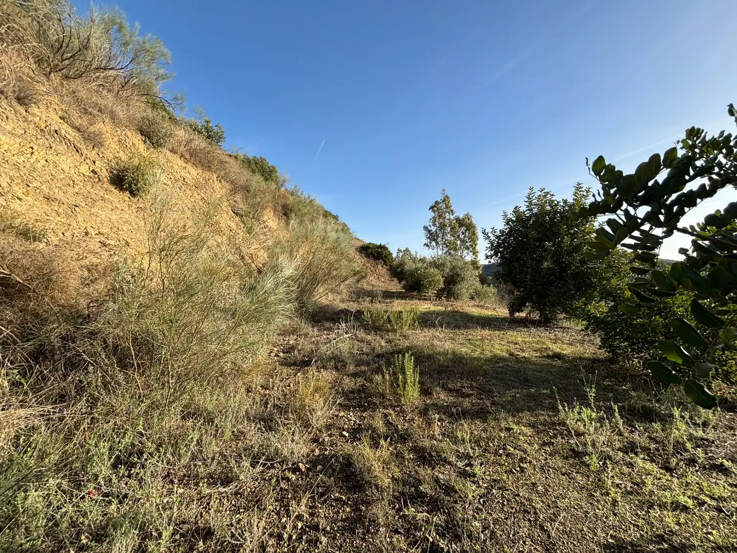Terreno en venta en Cártama