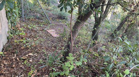 Foto 5 de Terreno en venta en Residencial Park, Maçanet de la Selva