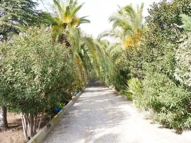Villa con terrazza in vendita a Totana, imagen 55