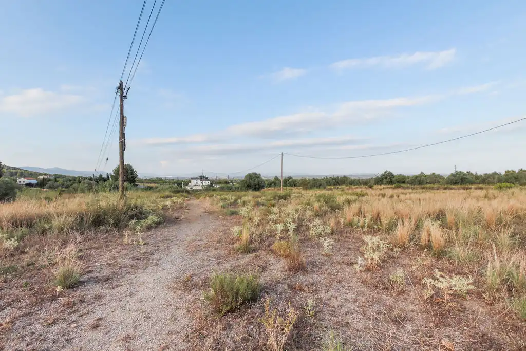 Terrain rustique à vendre à Plan Parcial Masíes Catalanes, imagen 12