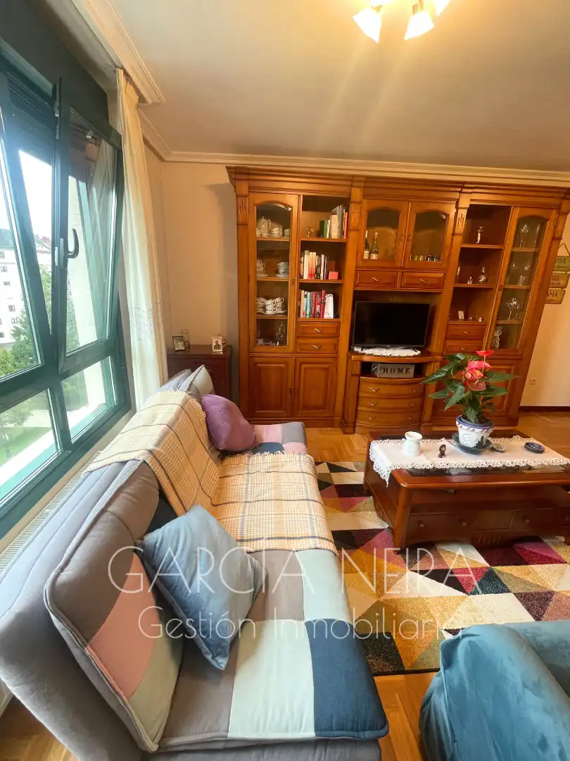 Sala d'estar de Pis en venda en Oviedo  amb Calefacció, Jardí privat i Parquet