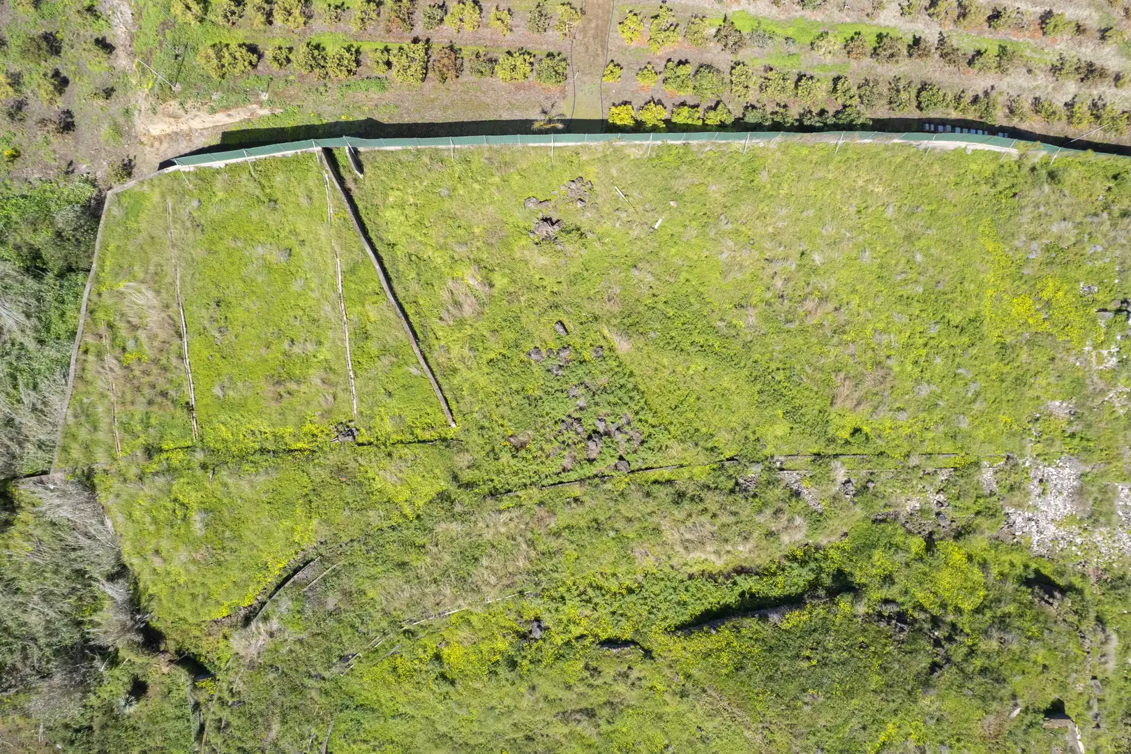 Rustikales Grundstück zum Verkauf in C. Viñas, 28 28, imagen 7