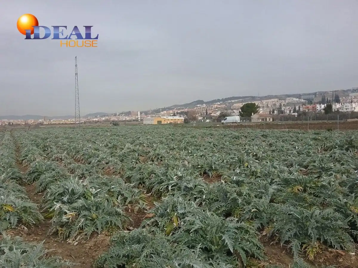 Finca rústica en venta en Campus de la Salud
