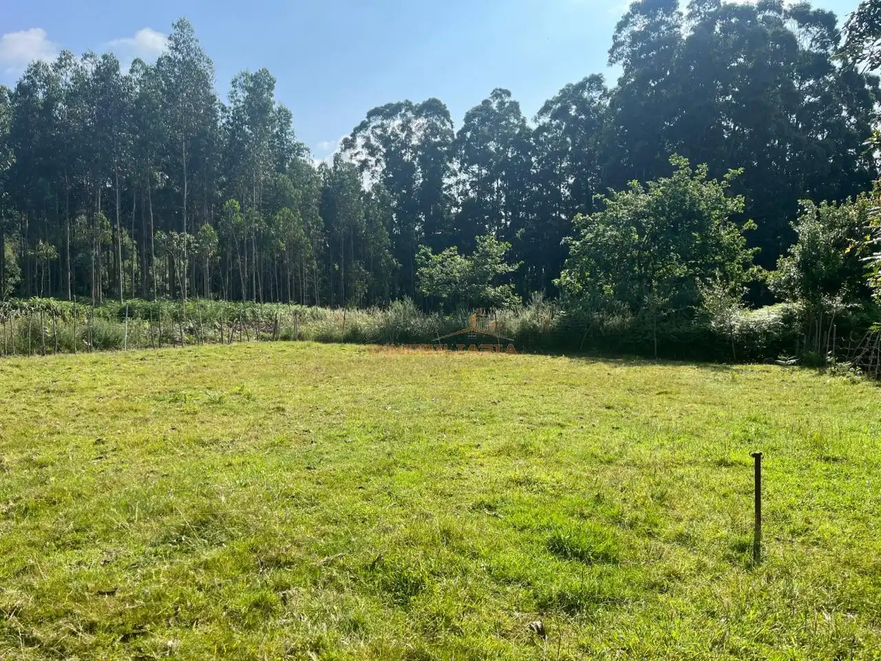 Terrenos y solares en venta en O Feal - Xubia, imagen 5