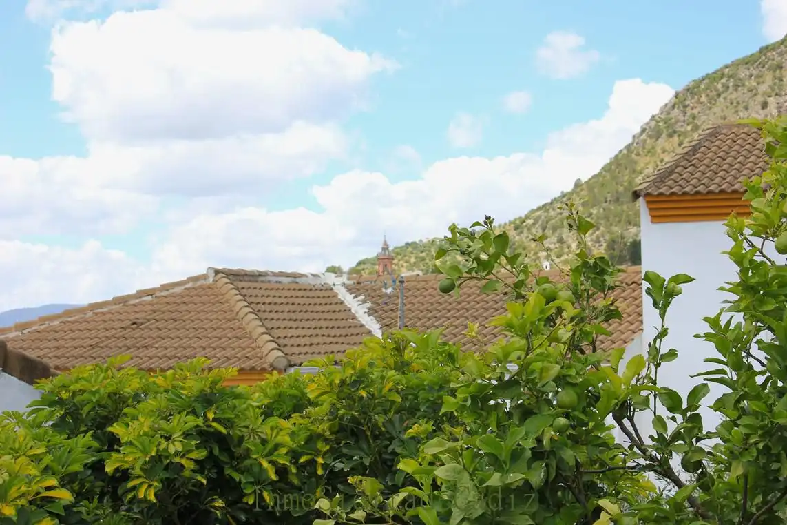 Haus zum Verkauf in Algodonales, imagen 22