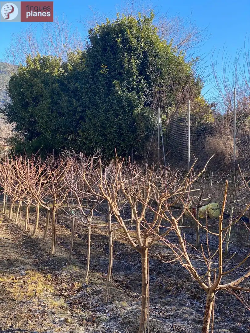 Jardín de Terreno en venta en La Seu d'Urgell