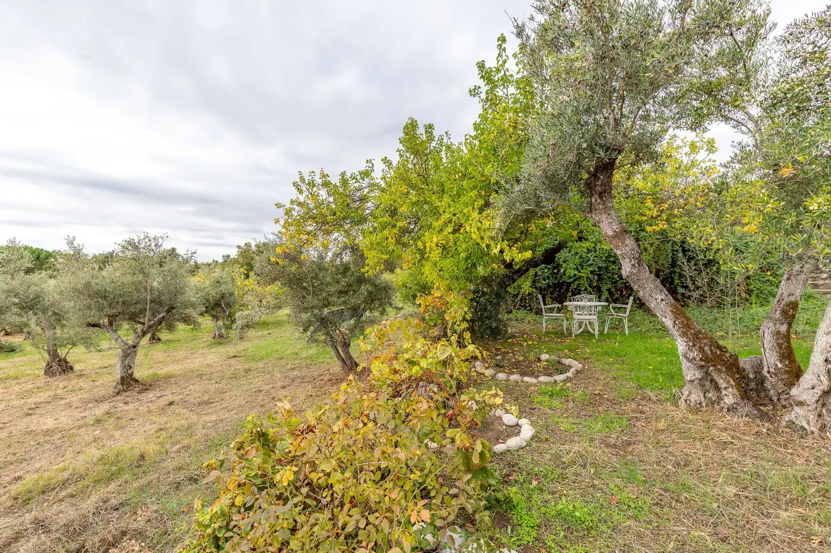 Terreni e lotti in vendita a Villanueva de la Vera, imagen 36