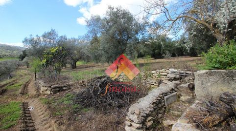 SE VENDE FINCA RÚSTICA EN RONDA LA VIEJA, imatge 5