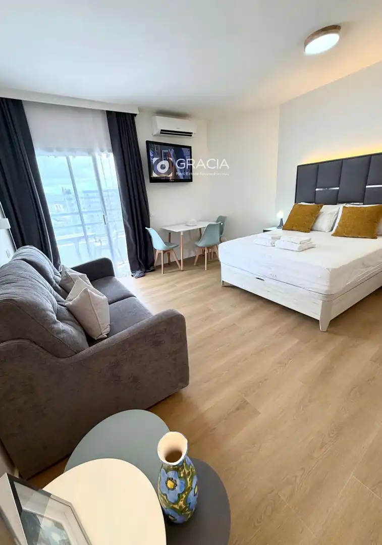 Estudio con piscina en venta en AVENIDA ADEJE 300, imagen 4