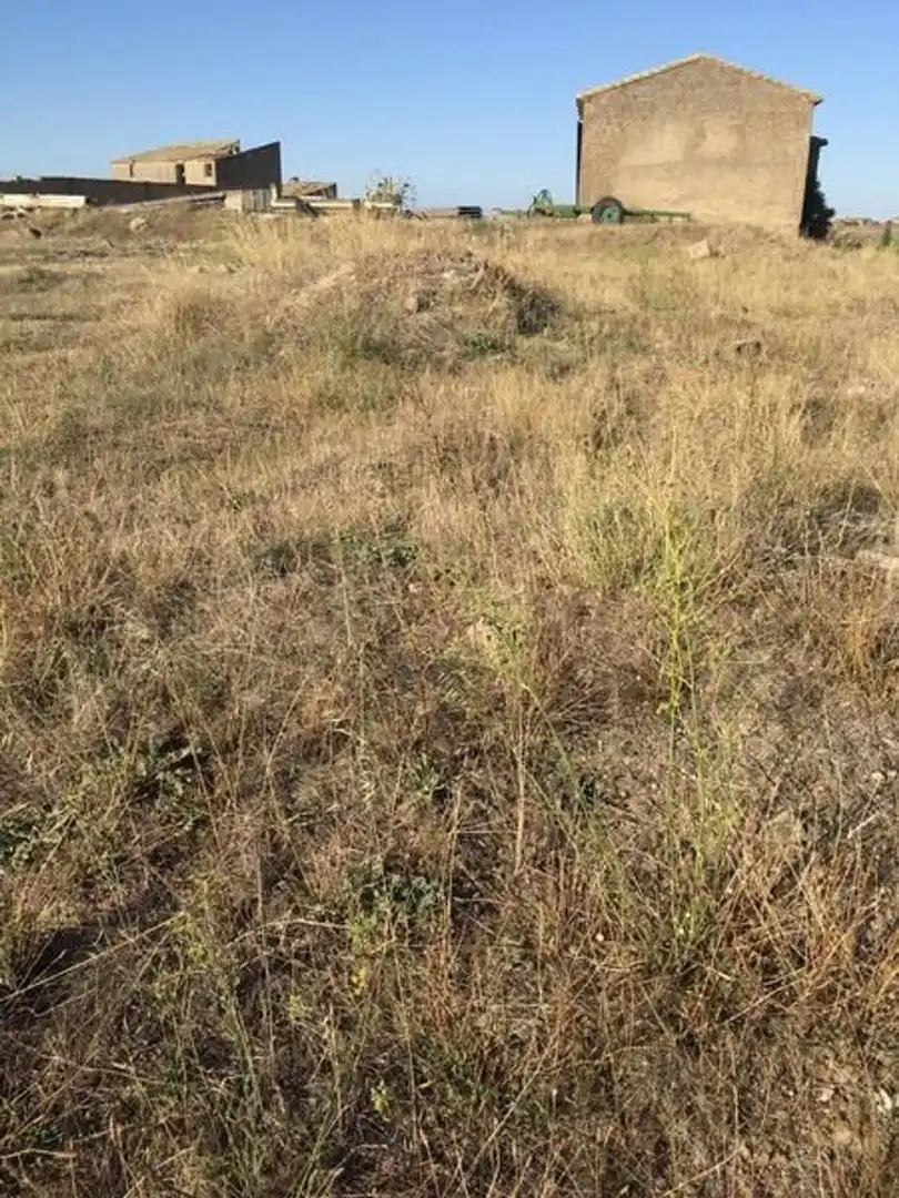Terreny en venda en Sádaba