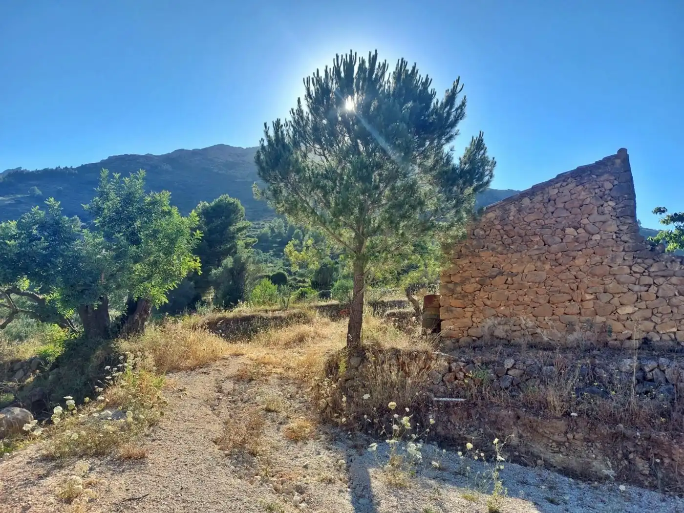 Maison à vendre à Xaló, imagen 8