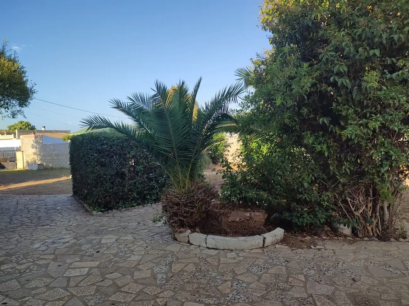 Jardín de Casa o chalet en venta en Conil de la Frontera con Aire acondicionado, Terraza y Trastero