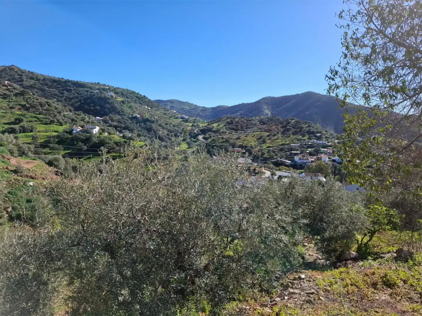 Vista exterior de Finca rústica en venda en Almogía