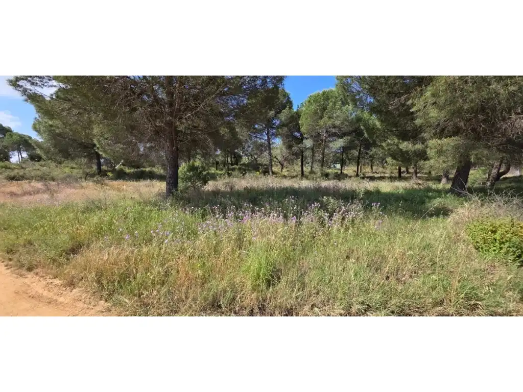 Terreny rústic en venda a Villablanca, imagen 3
