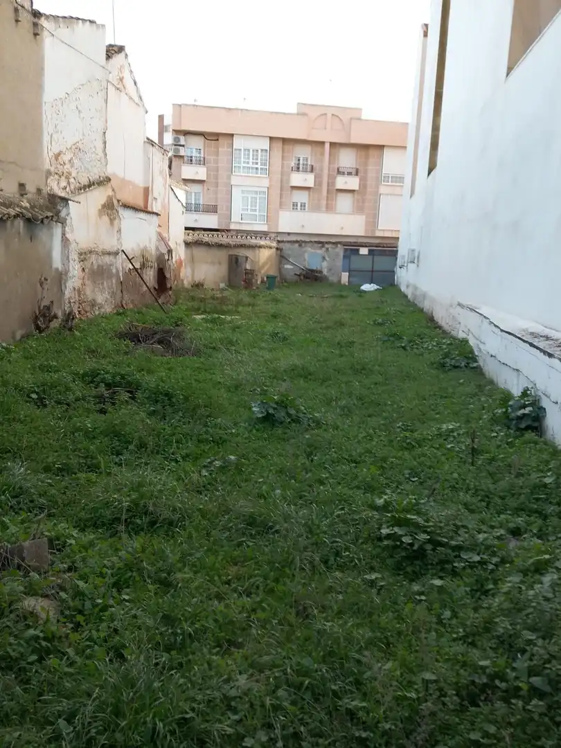 Lands and plots for sale in Lope de Vega, imagen 3