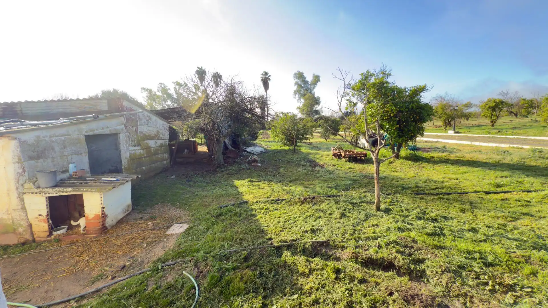 Casa rústica con jardín en venta en Gibraleón, imagen 13