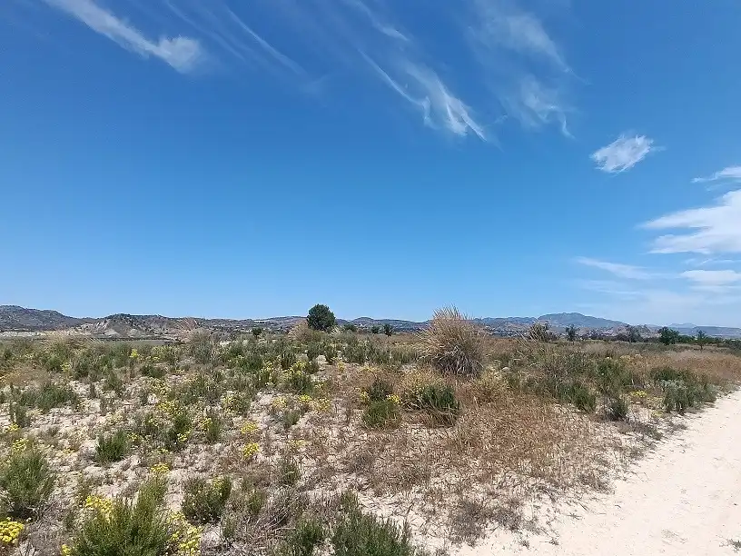 Lands and plots for sale in Mula, imagen 25