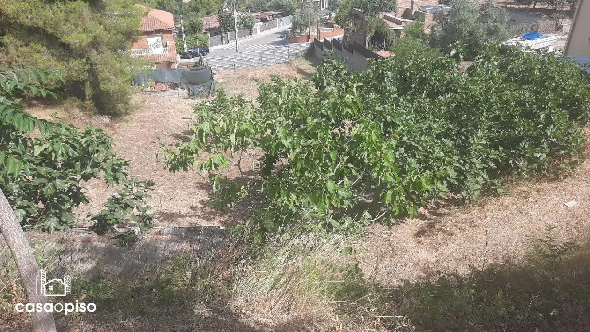Lands and plots for sale in falciot, imagen 4