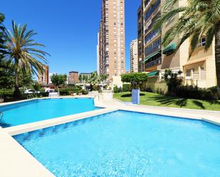 Piscina de Apartament en venda en Benidorm amb Aire condicionat, Calefacció i Jardí privat
