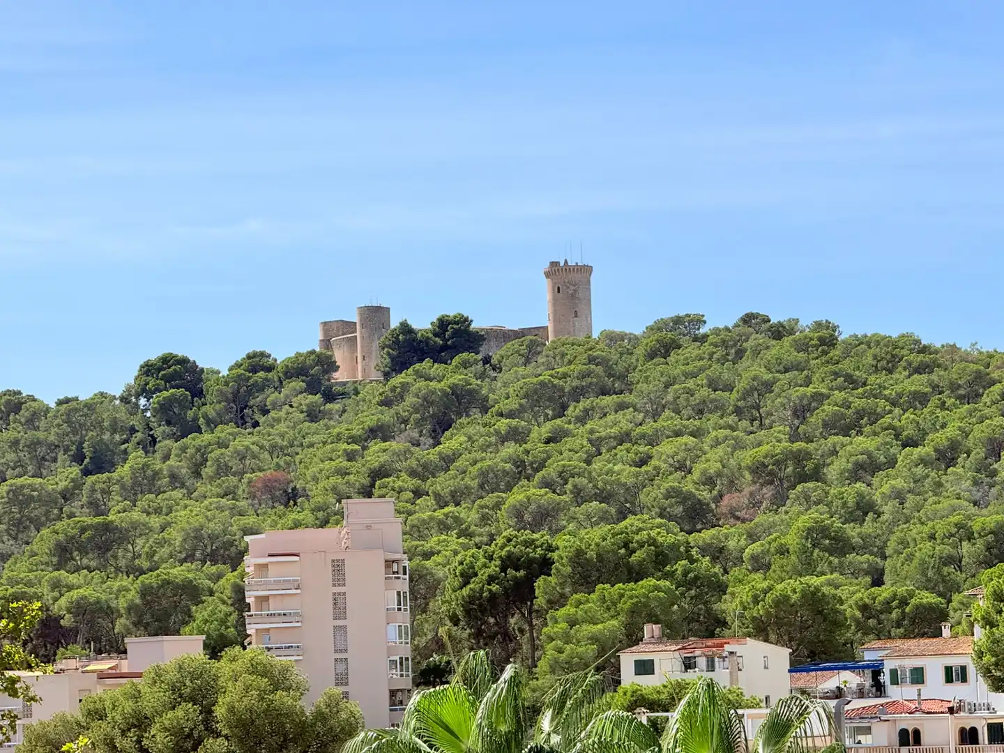 Attique avec terrasse à louer à Carrer d'Álvaro de Bazán, imagen 3