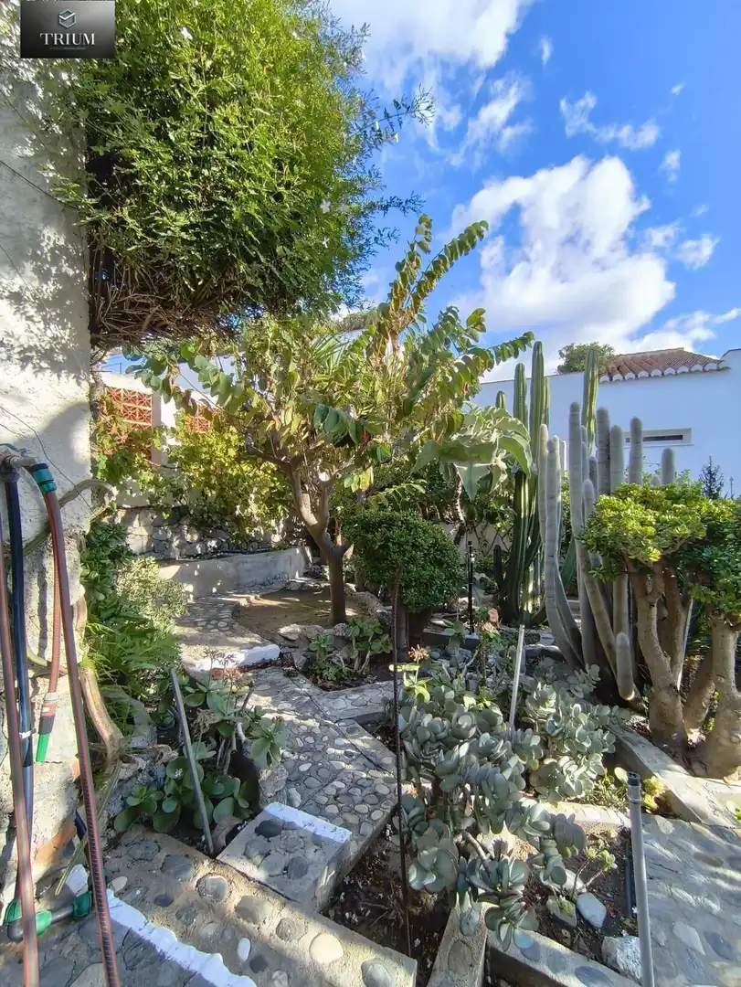 Jardí de Casa o xalet en venda en Almuñécar