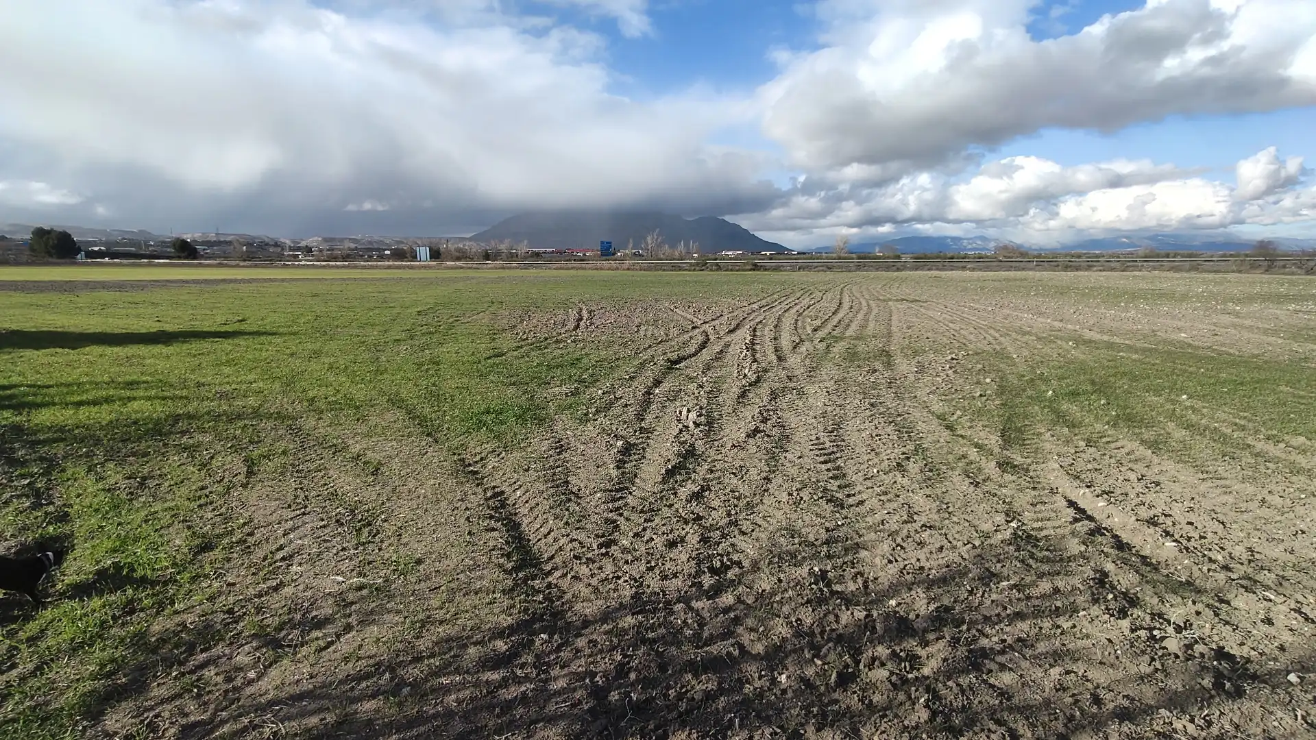 Chalet en venta en Carretera de Murcia, imagen 14