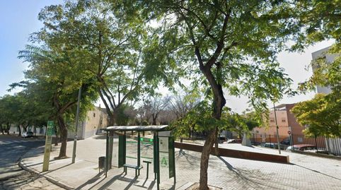 Foto 3 de Planta baja en venta en San Juan de Aznalfarache, Edificio la Pañoleta, Zona Nueva Camas - Marcelino Camacho, Camas