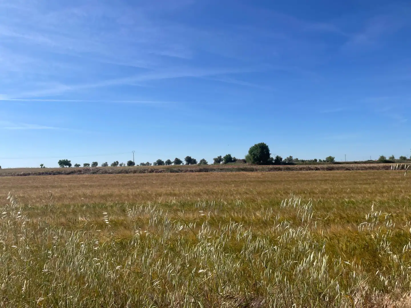 Land for sale in Ocaña