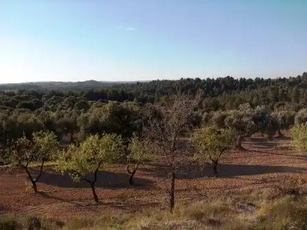 Terreni e lotti in vendita a Calaceite, imagen 4