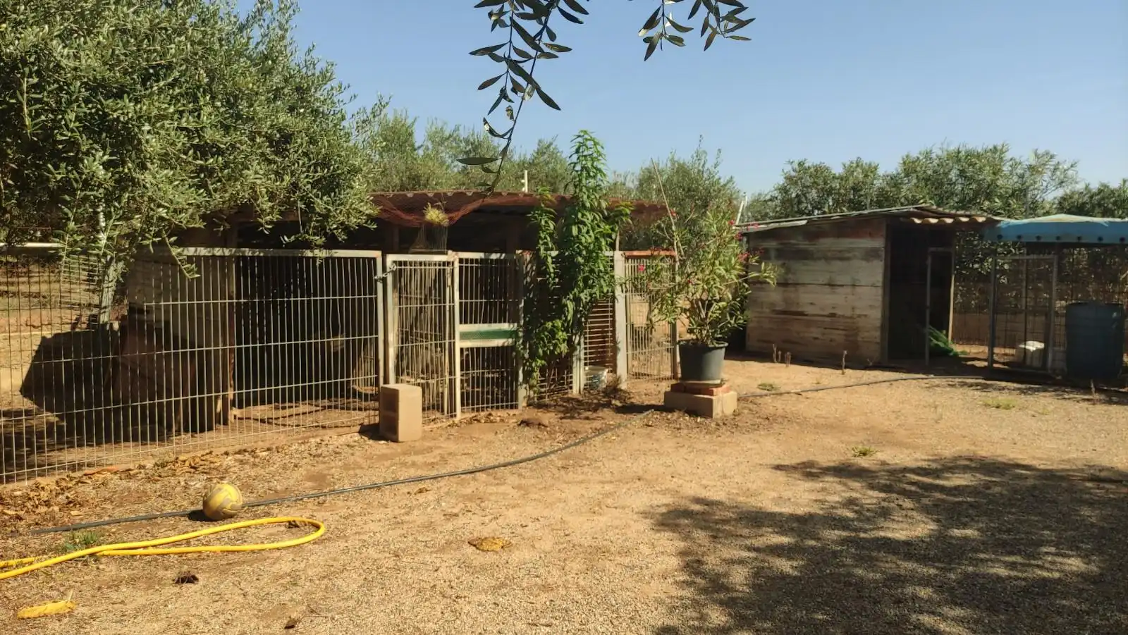 Finca rústica en venta en de les Hortes, Montbrió del Camp
