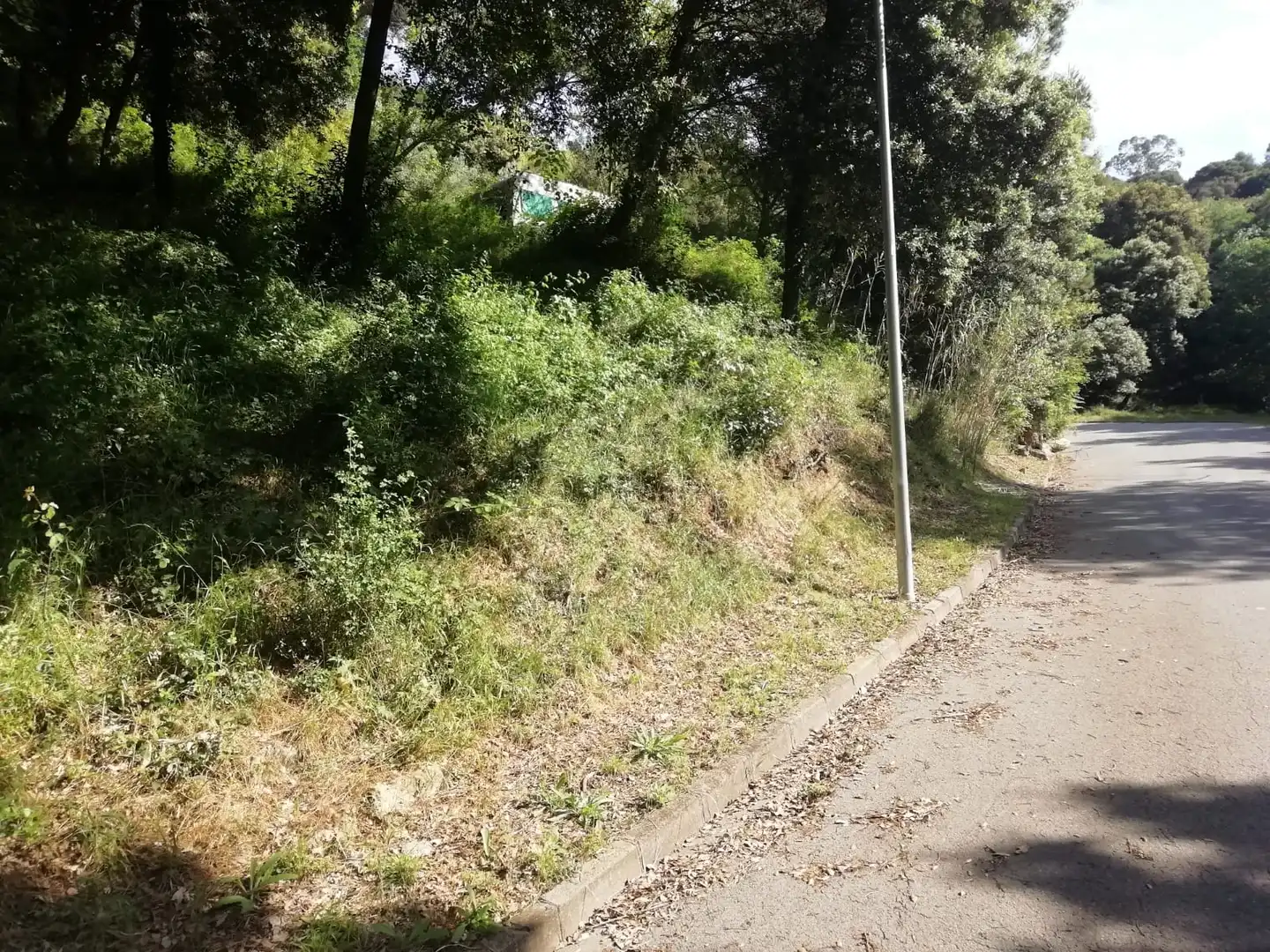 Residential land for sale in Sant Pere de Vilamajor, imagen 8