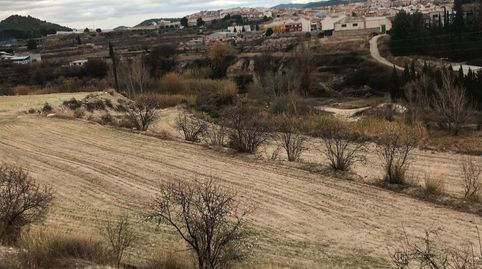 Se vende espectacular finca en las mismas paredes de Cehegin la finca tiene una superficie de 7,5 HAS, 2 has de riego de privilegi