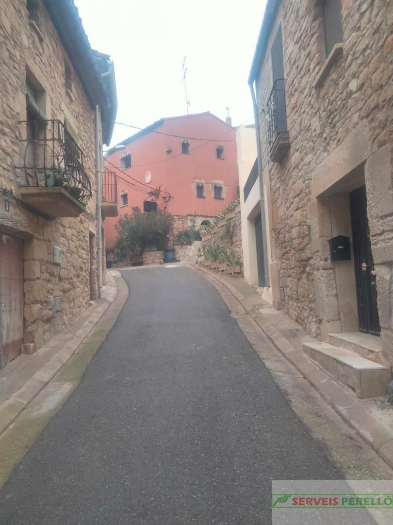 Vista exterior de Pis en venda en Els Omellons