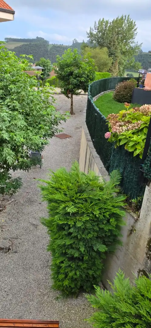 Ground floor for sale in Meruelo