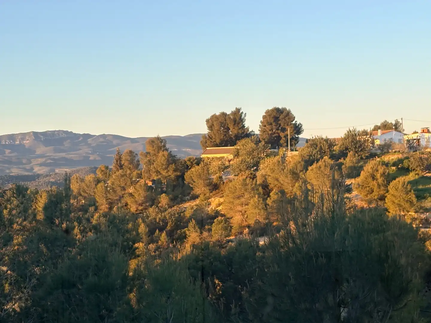 Casa o chalet en venta en Urbanizacion Fuente la Virgen 2, 1, Alborache