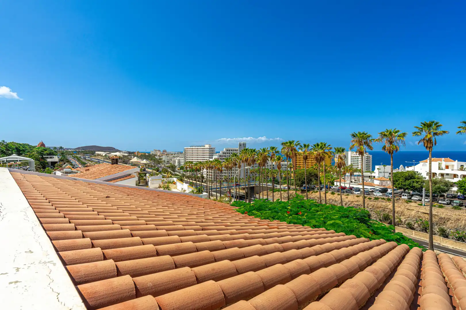 Vista exterior de Casa o chalet en venta en Adeje con Jardín privado y Terraza