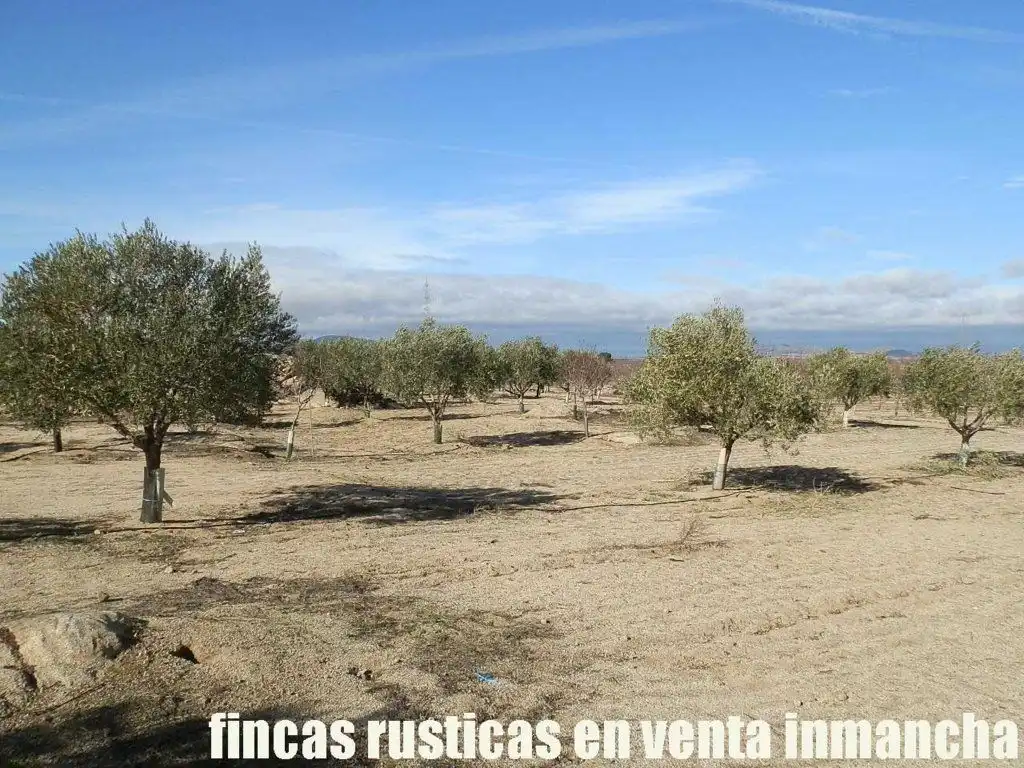 Terreno en venta en Mora